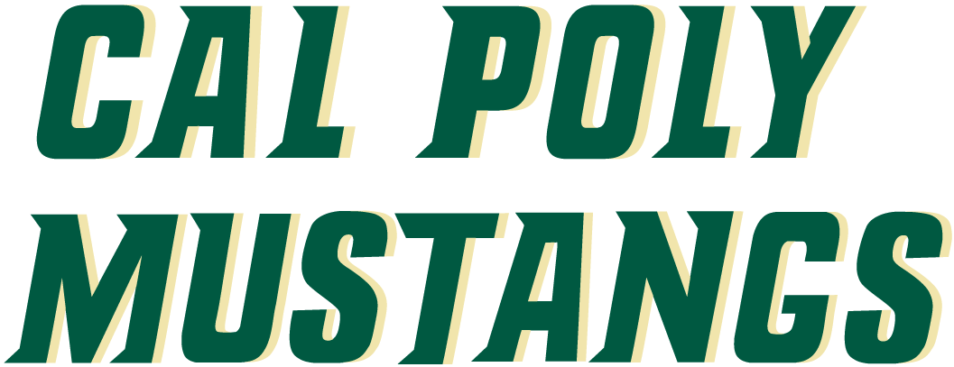 Cal Poly Mustangs 2000-2006 Wordmark Logo iron on transfers for clothing